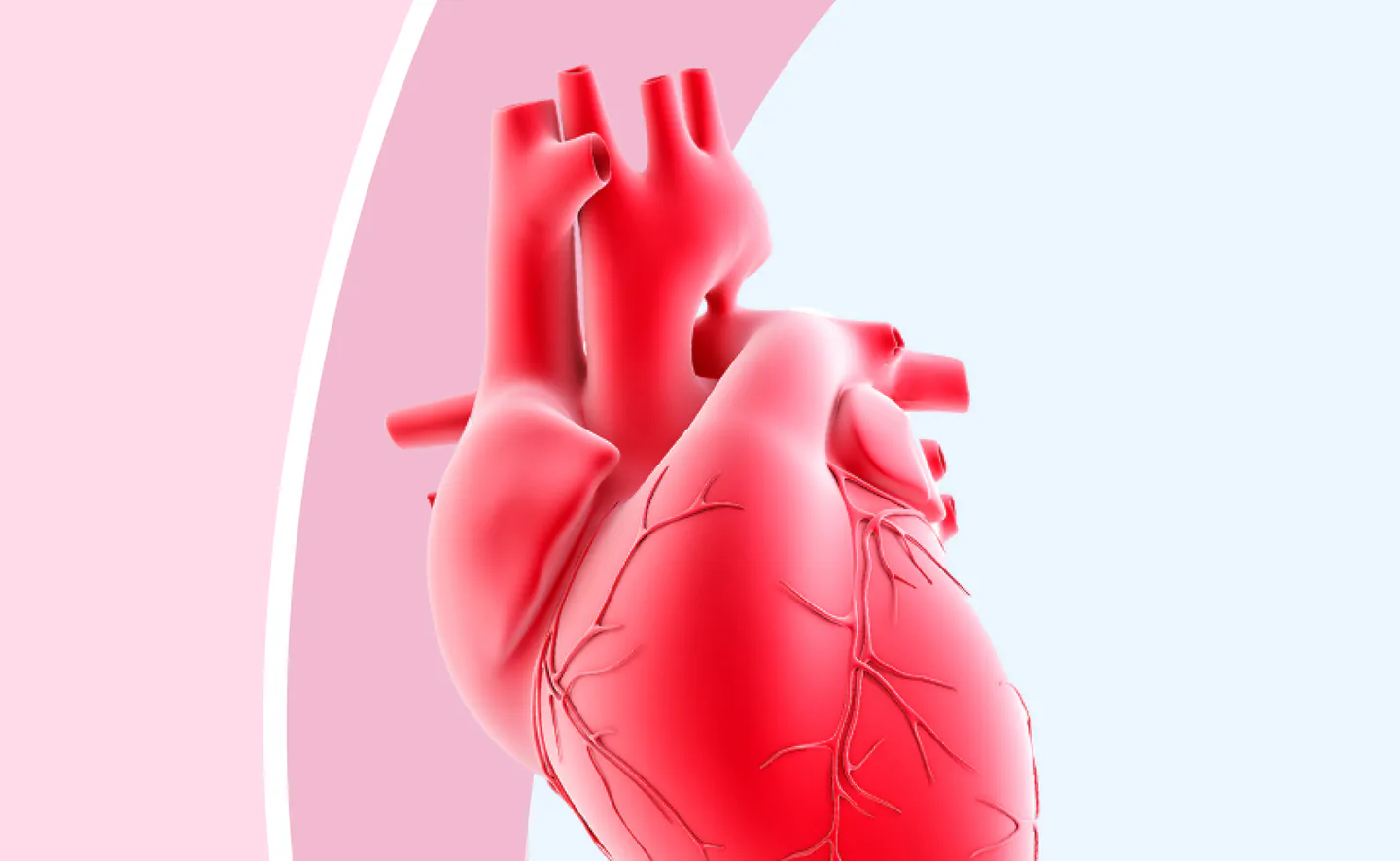 Check-Up Сердца